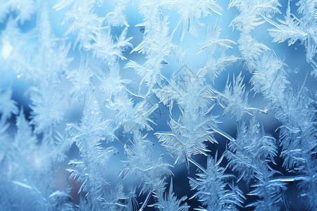窗前霜冻的雪花背景图片