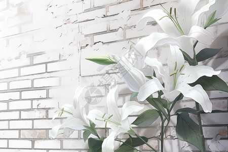 白墙素材背景白墙背景下的花朵插画