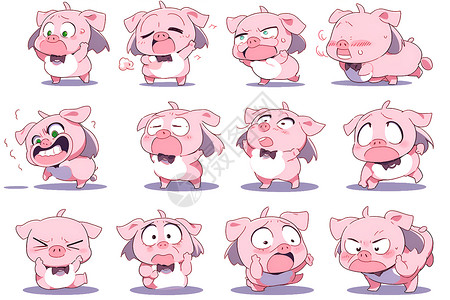 卡通小猪表情卡通小猪插画