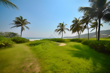 暖阳海滩背景图片