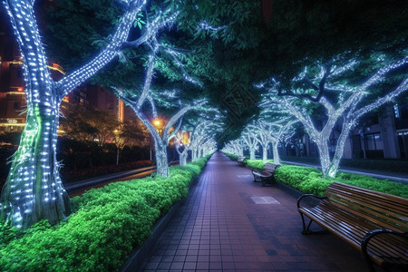 夜幕下的城市公园背景图片