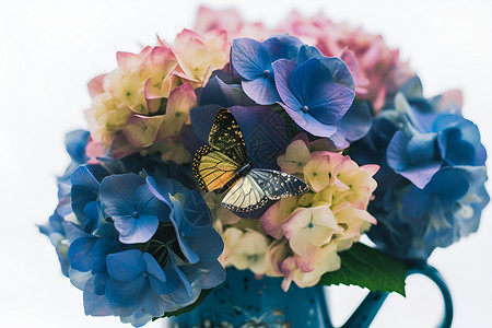 蝴蝶在鲜花上翩翩飞舞背景图片