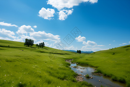 清新绿意的草原景观背景图片