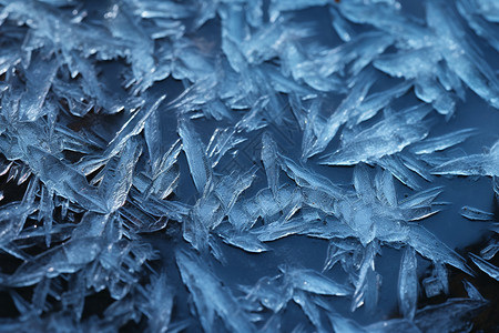 冬季冰冻的冰霜背景图片