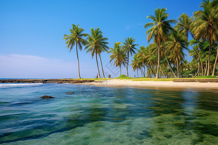 海洋的沙滩海岛背景图片