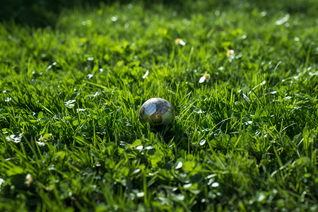 草坪上的小球背景图片