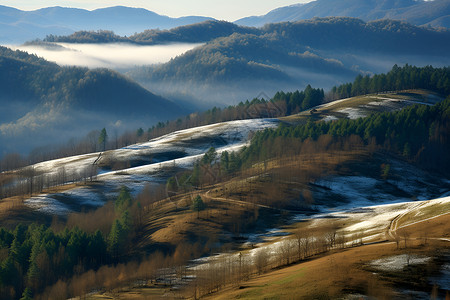 白雪森林白雪覆盖的山丘背景