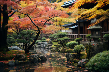 秋意浓郁的寺院背景图片