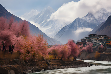 拉姆绍冰雪中的卡拉科拉姆山脉背景