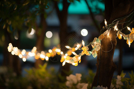 树木花边装饰夜晚花园中树上的灯光背景