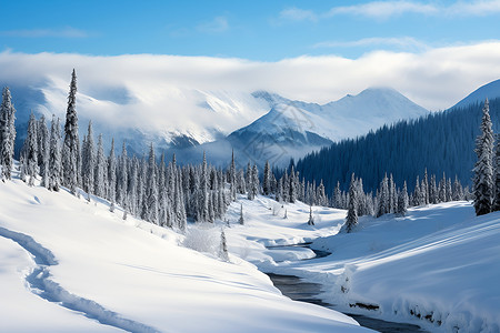 冬季山林冬天雪山的风景背景