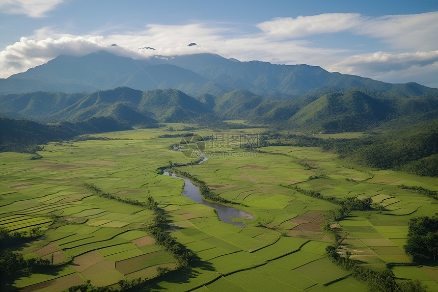 菲律宾农田图片