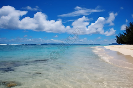 沙滩上的天堂背景图片