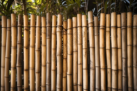 竹子搭建的围栏背景图片