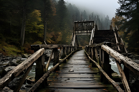 森林河流上的木桥背景图片