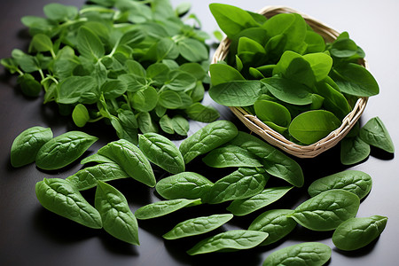 翠绿的蔬菜厨房植物高清图片