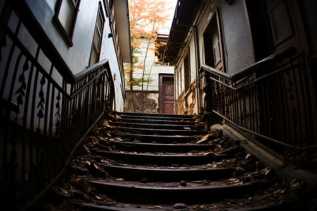 落满落叶的阶梯背景图片