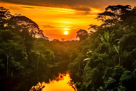 夕阳下的热带河流背景图片