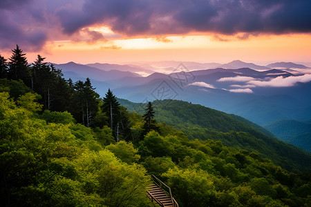 山顶树林上的夕阳背景图片