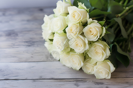 漂亮的白玫瑰背景图片