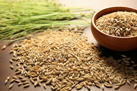 小麦成熟一碗成熟的小麦背景