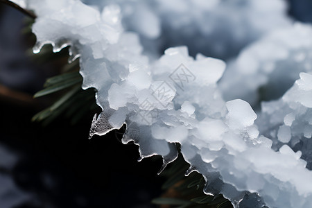 冬日冰晶中的冰晶背景图片