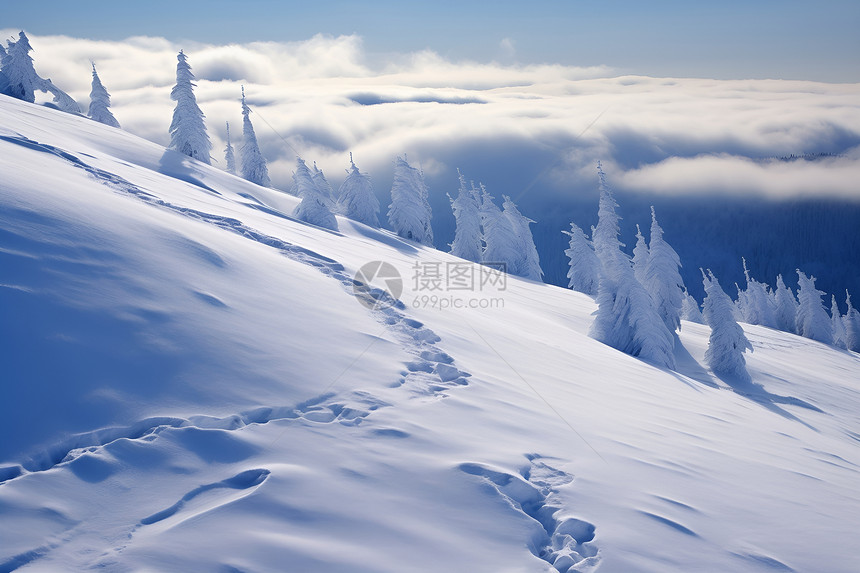 冬日之胜景图片