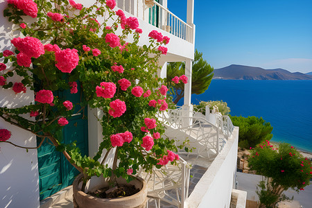 鲜花海边素材海边繁花与阳台背景