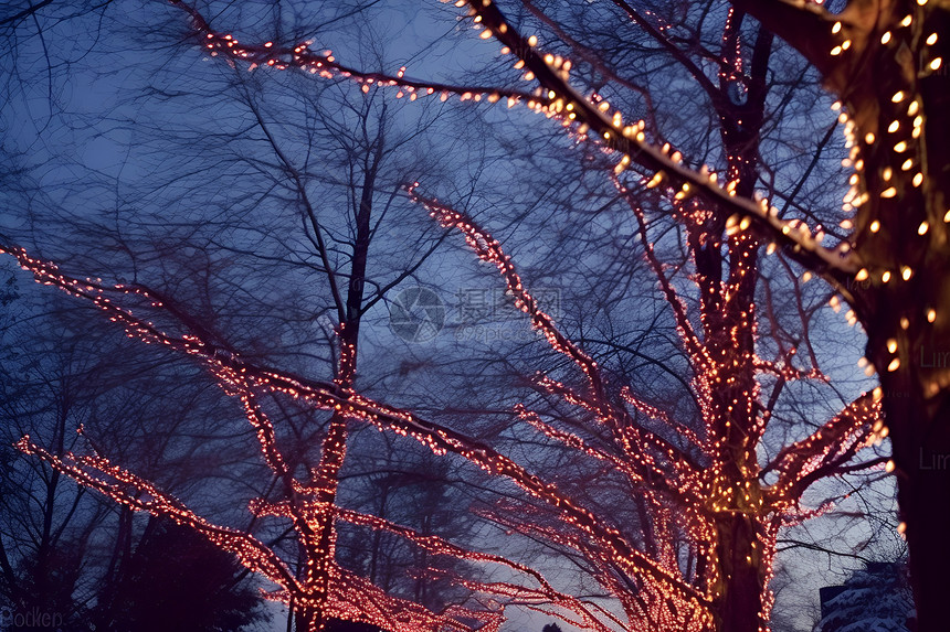夜晚一颗树上闪烁的灯光图片