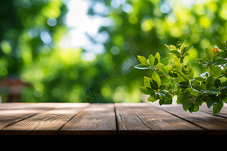 木桌上清新的植物背景图片