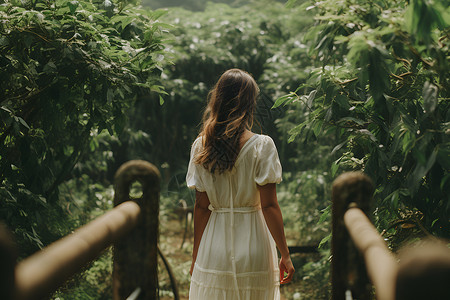长发背影树林的白裙女子背景