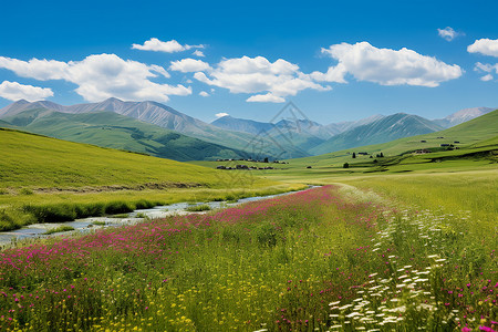 美丽的花朵草原和小溪背景图片