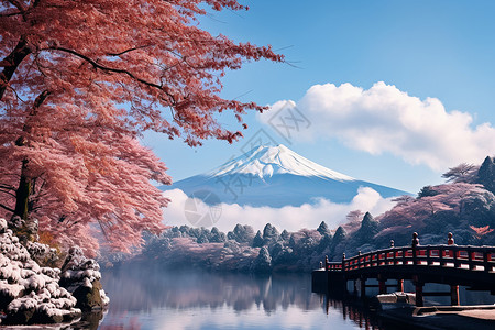 日本山富士山下红桥映秋山背景