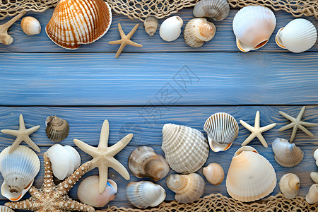 木板上的贝壳和海螺背景图片