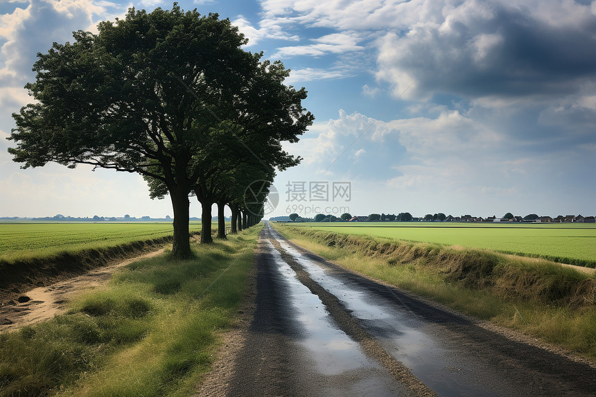 乡村中的小路图片