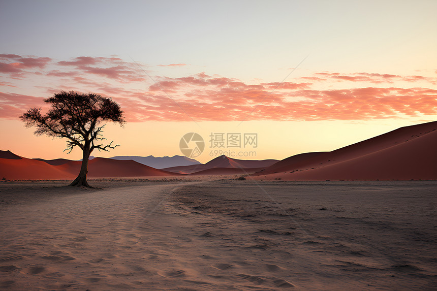 沙漠中壮观的沙丘图片