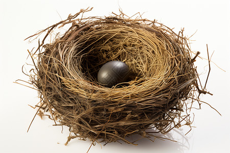 小鸟巢中孵化的蛋背景图片
