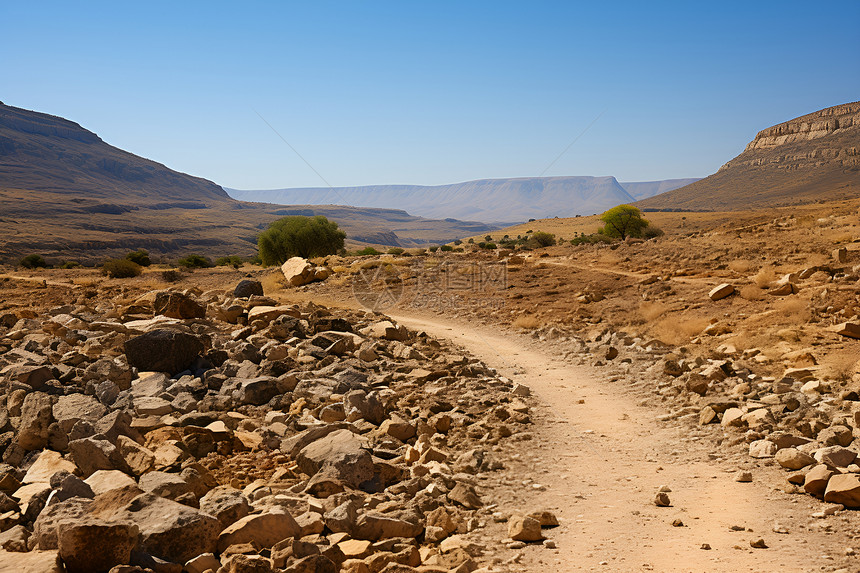 沙漠中的一条泥土路图片