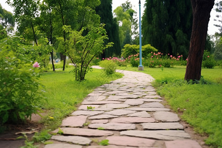 花园小径背景图片