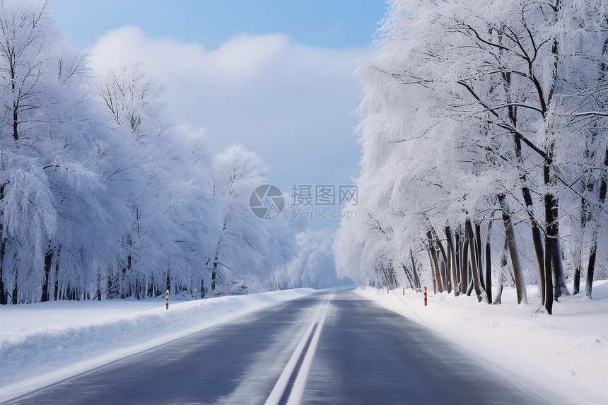 冰雪树林中的公路图片