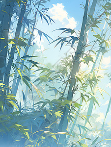 竹林中的竹子背景图片