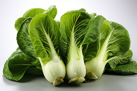 新鲜绿色蔬菜背景图片