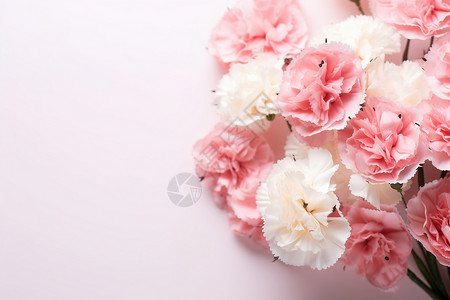 清新夏日花朵背景图片