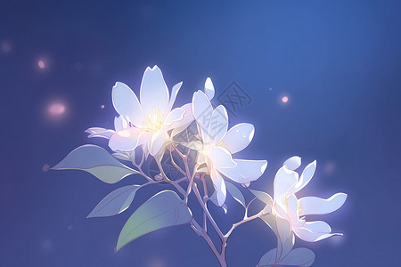 梦幻的花朵背景图片