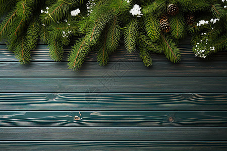 冬日的圣诞树枝背景图片