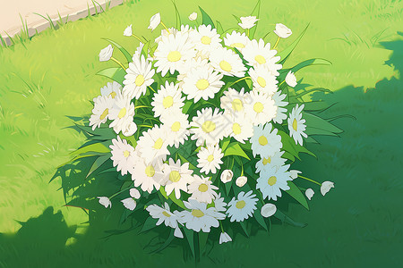 白雏菊在草地上背景图片
