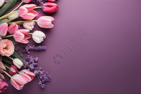 紫色背景上的花朵背景图片