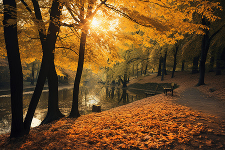 秋日森林美景背景图片