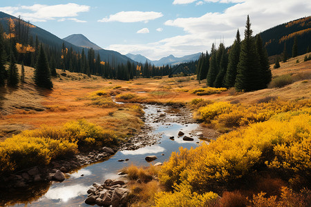 秋日溪流背景图片