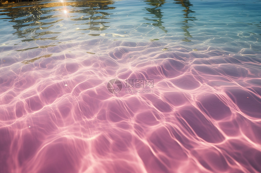 户外水面上的粉色液体图片